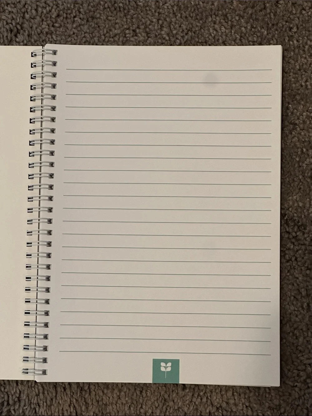 Red Aspen Girls Weekend Howdy Notebook